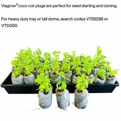 Viagrow Coco Coir Seed Starter Plugs, Sustainable, Expandable Coco Discs 50mm/1.96 in. (50-Pack) -VAN ZYVERDEN shop viagrow seed starters vccss50 1d 1000
