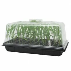 Viagrow 10 in. x 20 in. Propagation Kit with Tall 7 in. Dome (10-Pack) -VAN ZYVERDEN shop viagrow seed starters vpk900 10 66 1000