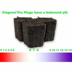 Viagrow Pro Plugs 50 Site Propagation Grow Plugs with Insert 12-Pack (50 Plugs/Pack) -VAN ZYVERDEN shop viagrow seed starters vrrt50 12 40 1000
